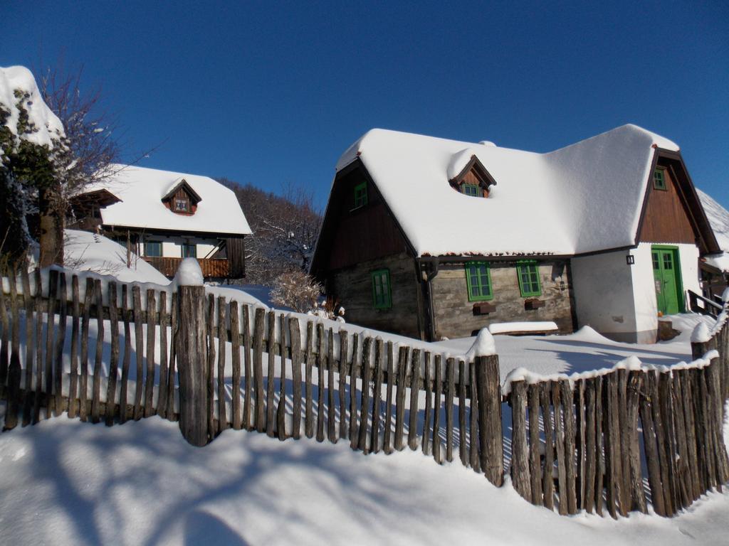 Apartmani Etno Kuca Pod Okicem Samobor Extérieur photo